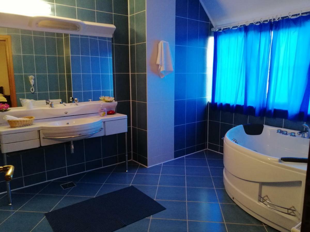 Liz Residence Питешти Номер фото