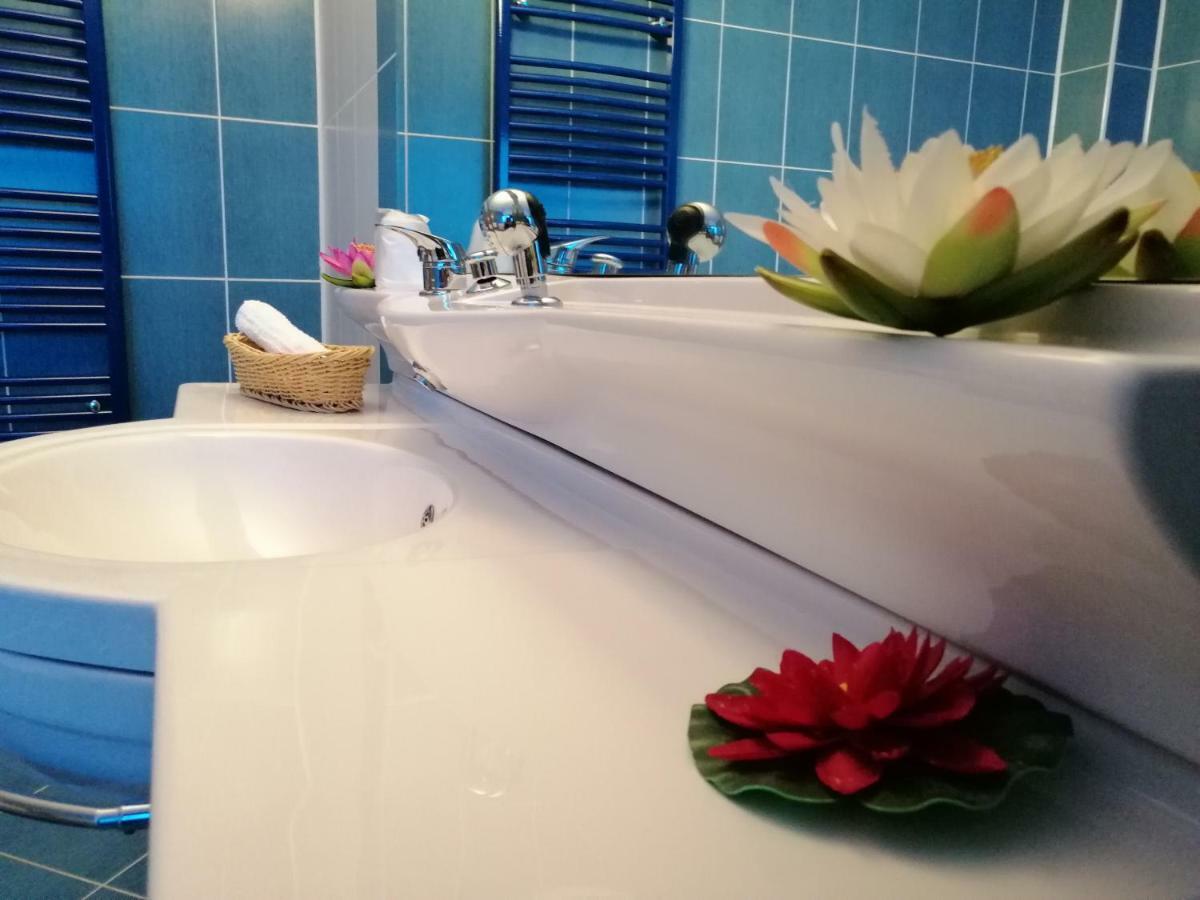 Liz Residence Питешти Номер фото